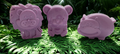 Zoo Animals